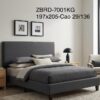 ZBRD-7001KG
