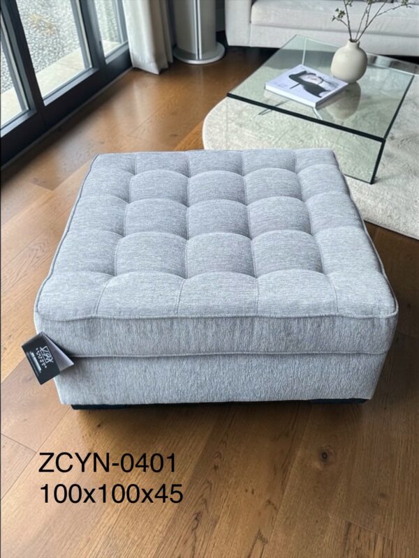 ZCYN-0401